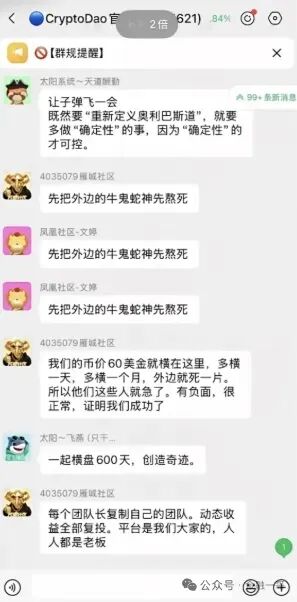 原文相关图片6