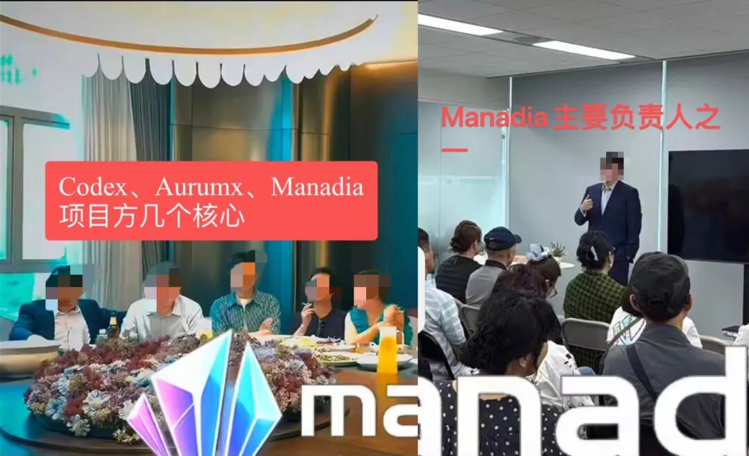 原文相关图片4